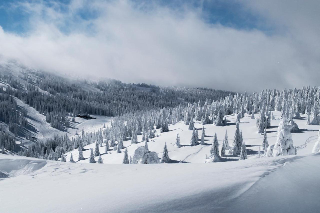 Kostovac Boutique Homes - House 1 Kopaonik Luaran gambar